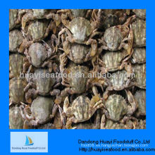 Mud crab en venta